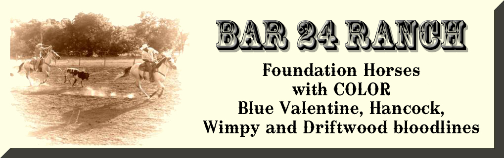 Bar 24 Ranch